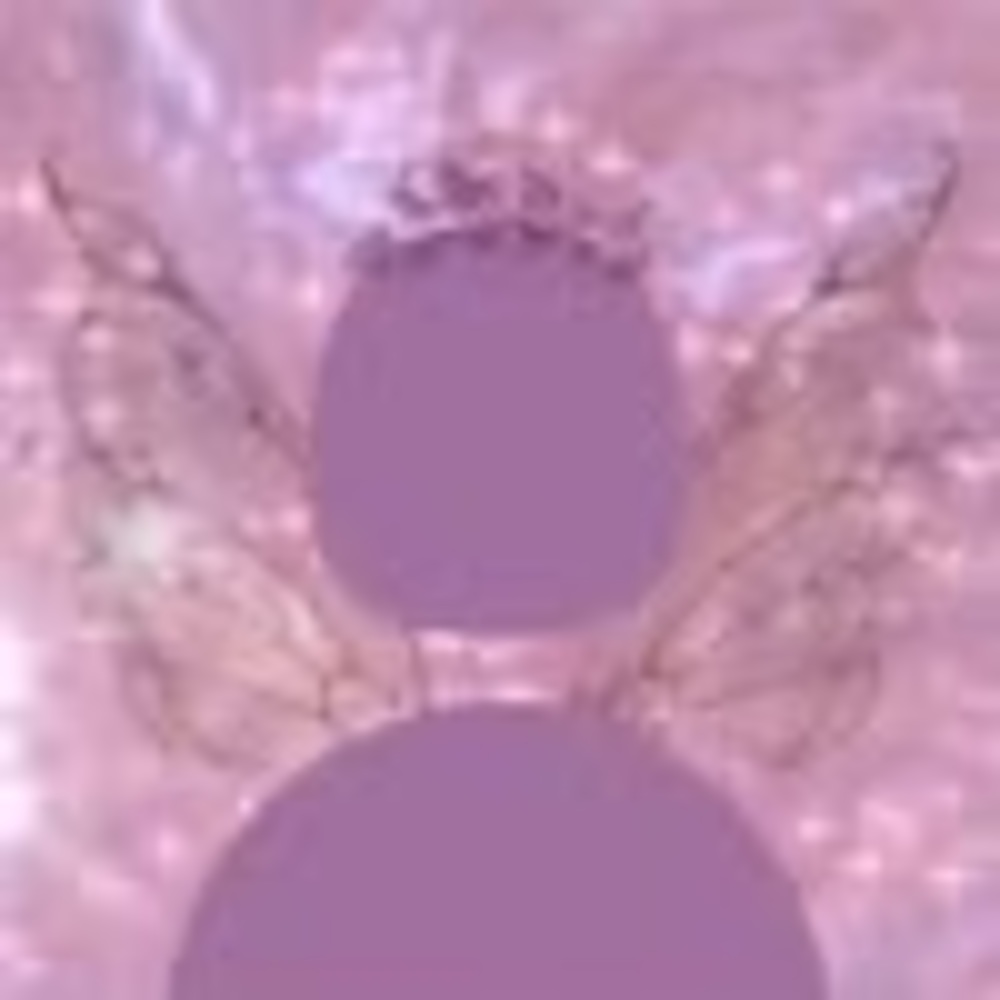 Meet your Posher, Jonea